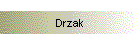 Drzak