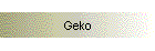 Geko