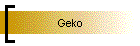Geko