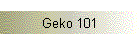 Geko 101