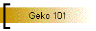Geko 101